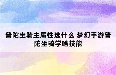 普陀坐骑主属性选什么 梦幻手游普陀坐骑学啥技能